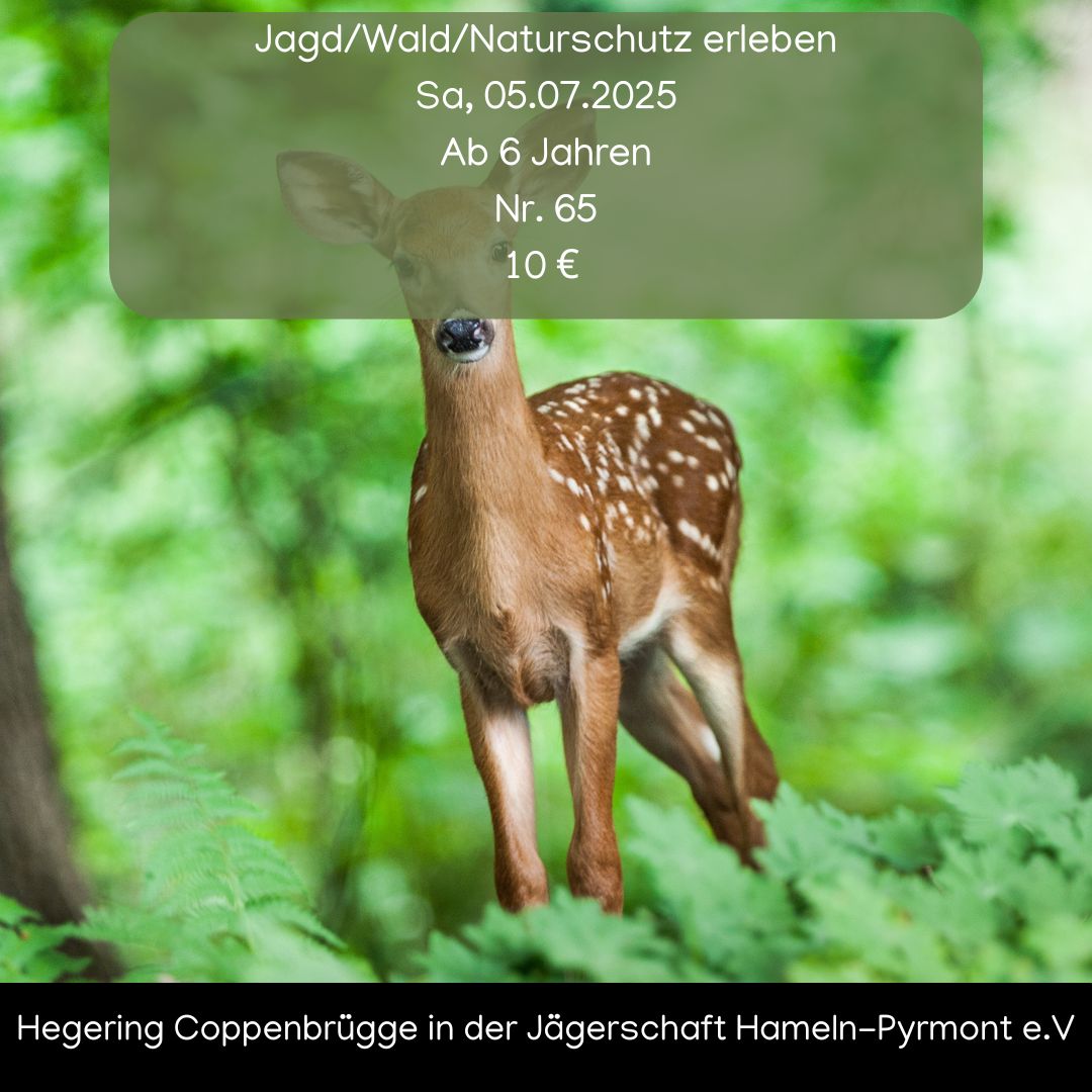 Jagd/Wald/Naturschutz erleben image